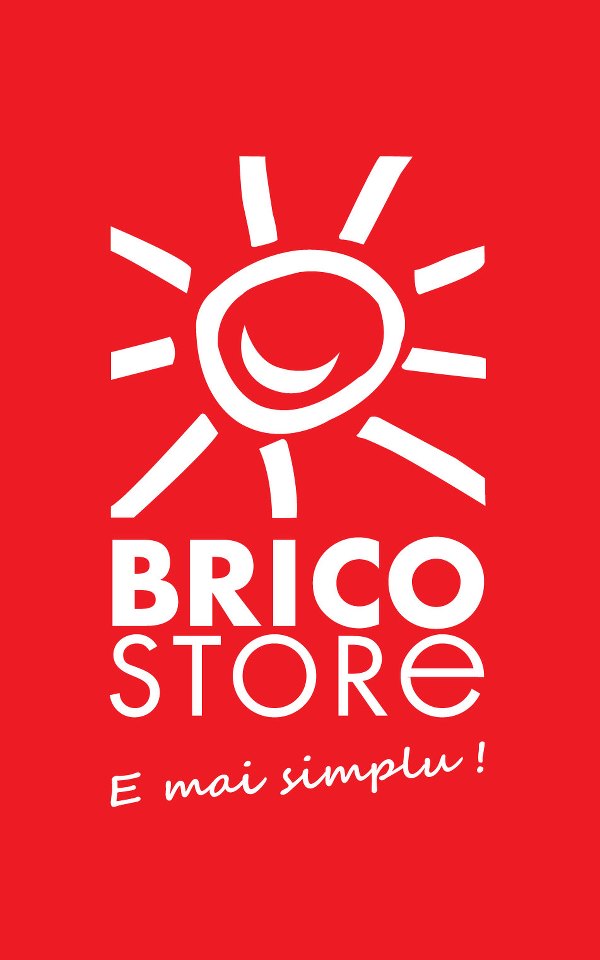 Logo Brico Store