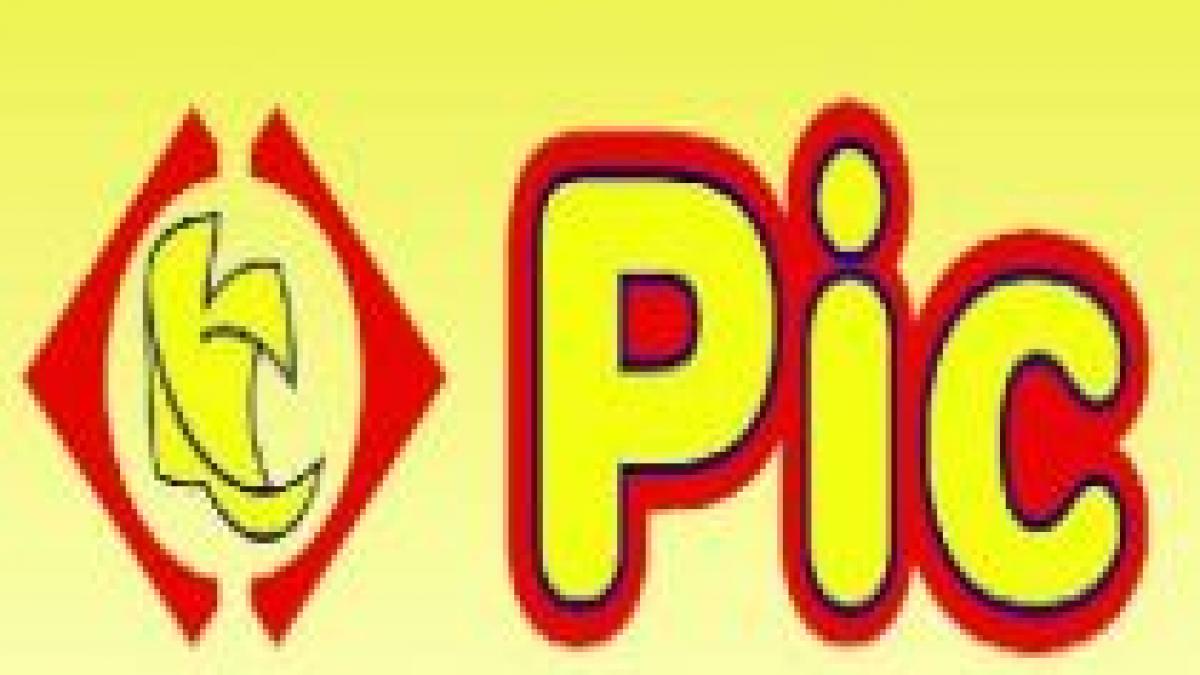 Logo PIC